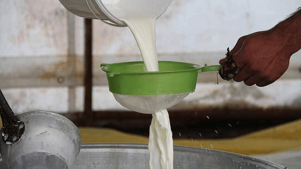 Evde Peynir Yapımında Yaygın Hatalar ve Bunları Nasıl Çözersiniz